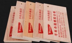 <b>全球连锁专卖于一体的大型粉饰建材营</b>